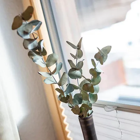 Daire Gustls Ferienhaeusl