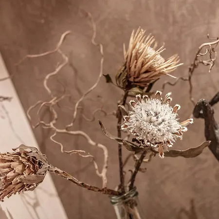 Gustls Ferienhaeusl Daire *